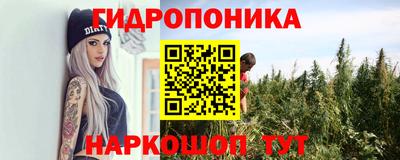 шишки Чебаркуль