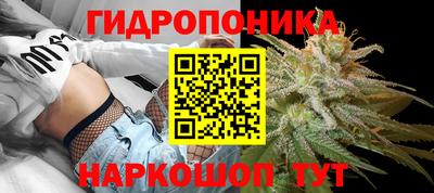 гидропоника Чебоксары